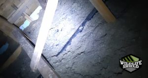 damaged ducts